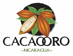 CACAOORO -NICARAGUA-