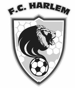 F.C. HARLEM