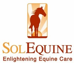 SOLEQUINE ENLIGHTENING EQUINE CARE