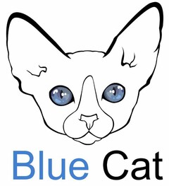 BLUE CAT