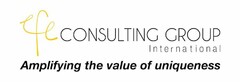 EFE CONSULTING GROUP INTERNATIONAL AMPLIFYING THE VALUE OF UNIQUENESS