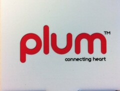 PLUM CONNECTING HEART