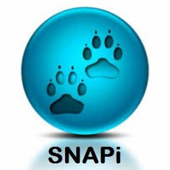 SNAPI