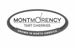 MONTMORENCY TART CHERRIES GROWN IN NORTH AMERICA