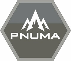 PNUMA