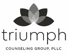 TRIUMPH COUNSELING GROUP, PLLC