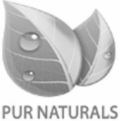 PUR NATURALS