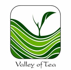 VALLEY OF TEA