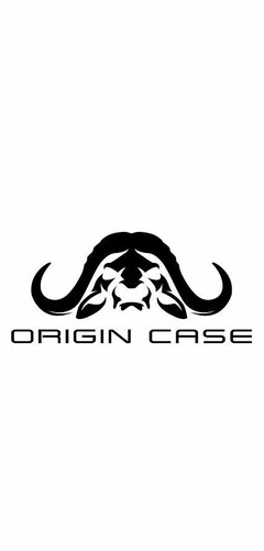 ORIGIN CASE