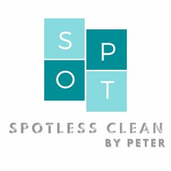 SPOTLESS CLEAN BY PETER