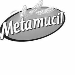 METAMUCIL