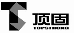 TS TOPSTRONG