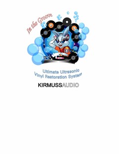 IN THE GROOVE ULTIMATE ULTRASONIC VINYLRESTORATION SYSTEM KIRMUSSAUDIO