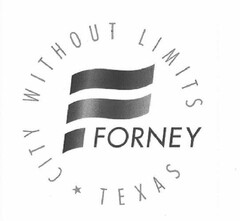 F FORNEY TEXAS CITY WITHOUT LIMITS