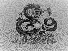 5 DRAGONS