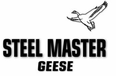 STEEL MASTER GEESE