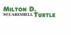 MILTON D. SQUARESHELL TURTLE