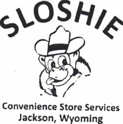 SLOSHIE CONVENIENCE STORE SERVICES JACKSON, WYOMING