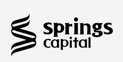 S SPRINGS CAPITAL