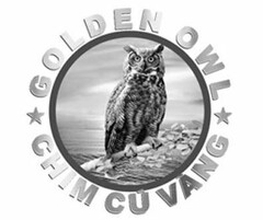 GOLDEN OWL CHIM CÚ VÀNG