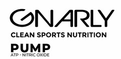 GNARLY CLEAN SPORTS NUTRITION PUMP ATP NITRIC OXIDE