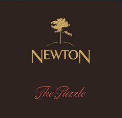 NEWTON THE PUZZLE