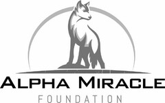 ALPHA MIRACLE FOUNDATION