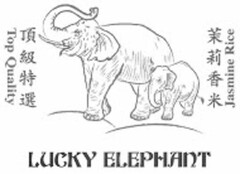 LUCKY ELEPHANT TOP QUALITY JASMINE RICE