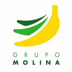 GRUPO MOLINA