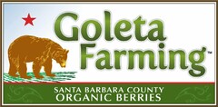 GOLETA FARMING SANTA BARBARA COUNTY ORGANIC BERRIES