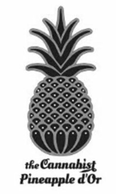 THE CANNABIST PINEAPPLE D'OR