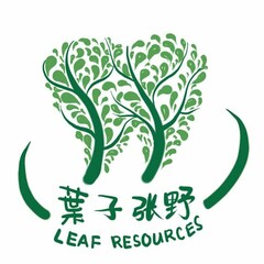 LEAF RESOURCES