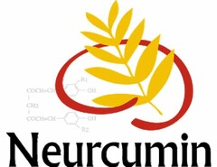 NEURCUMIN COCH=CH R1 0H CH2 COCH=CH OH R2