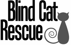 BLIND CAT RESCUE