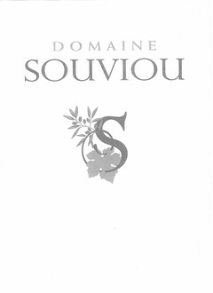 DOMAINE SOUVIOU S