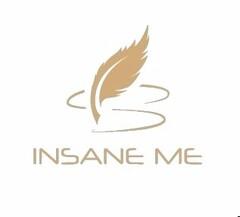 INSANE ME