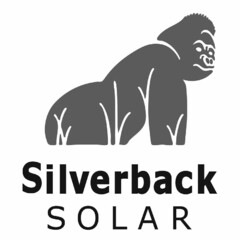 SILVERBACK SOLAR