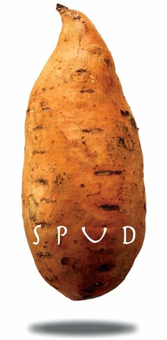 SPUD