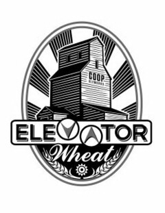 COOP ALEWORKS ELEVATOR WHEAT