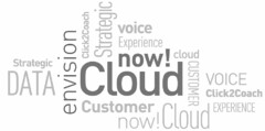 STRATEGIC DATA ENVISION NOW! CLOUD CLOUD CUSTOMER VOICE CLICK2COACH EXPERIENCE CLICK2COACH STRATEGIC VOICE EXPERIENCE CUSTOMER NOW!CLOUD