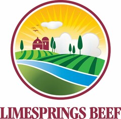 LIMESPRINGS BEEF