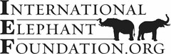 INTERNATIONALELEPHANTFOUNDATION.ORG