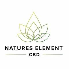 NATURES ELEMENT CBD