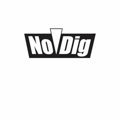 NO DIG