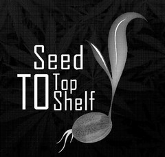 SEED TO TOP SHELF