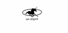 MR-EQUUS