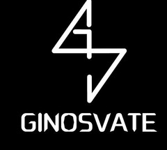 GINOSVATE