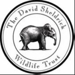 THE DAVID SHELDRICK WILDLIFE TRUST