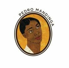 PEDRO MANDINGA