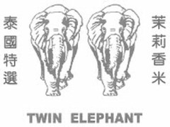 TWIN ELEPHANT